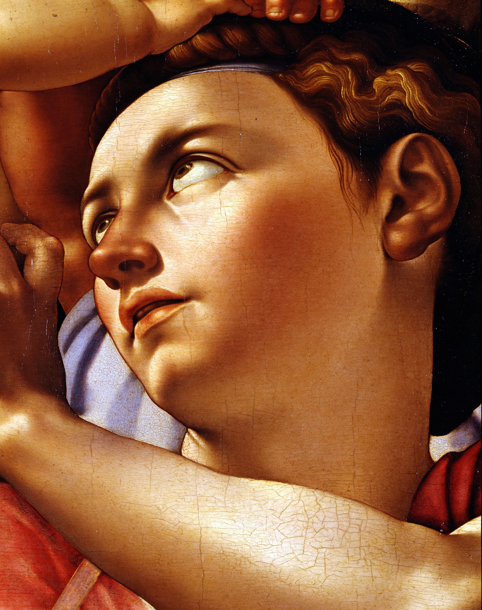 Tondo Doni, Michelangelo, tempera su tavola di legno